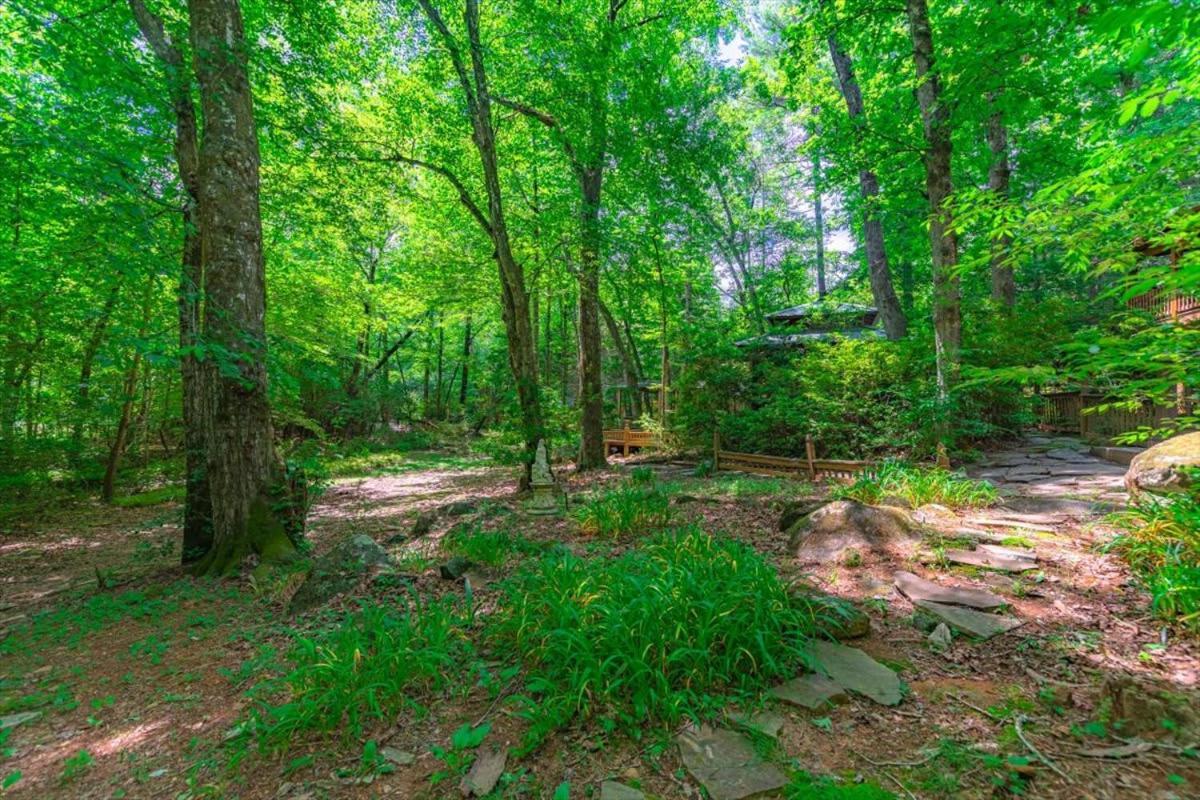 Waterfront Mountain Cabin With Hot Tub Villa Blue Ridge Bagian luar foto